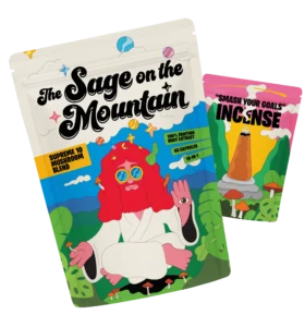 The Sage on the Mountain Product Cover Image
