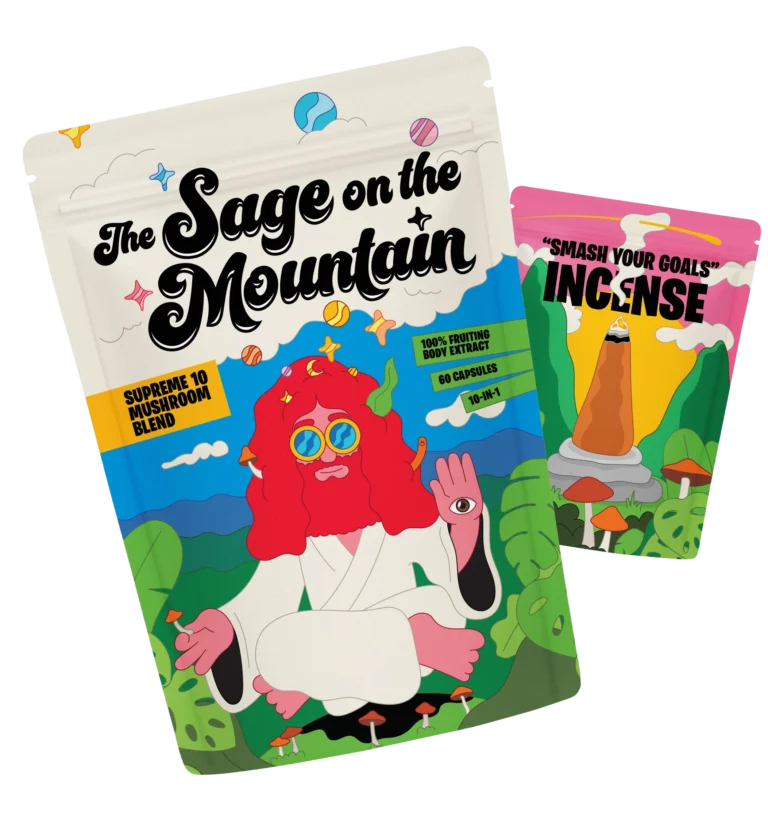 The Sage on the Mountain Product Cover Image